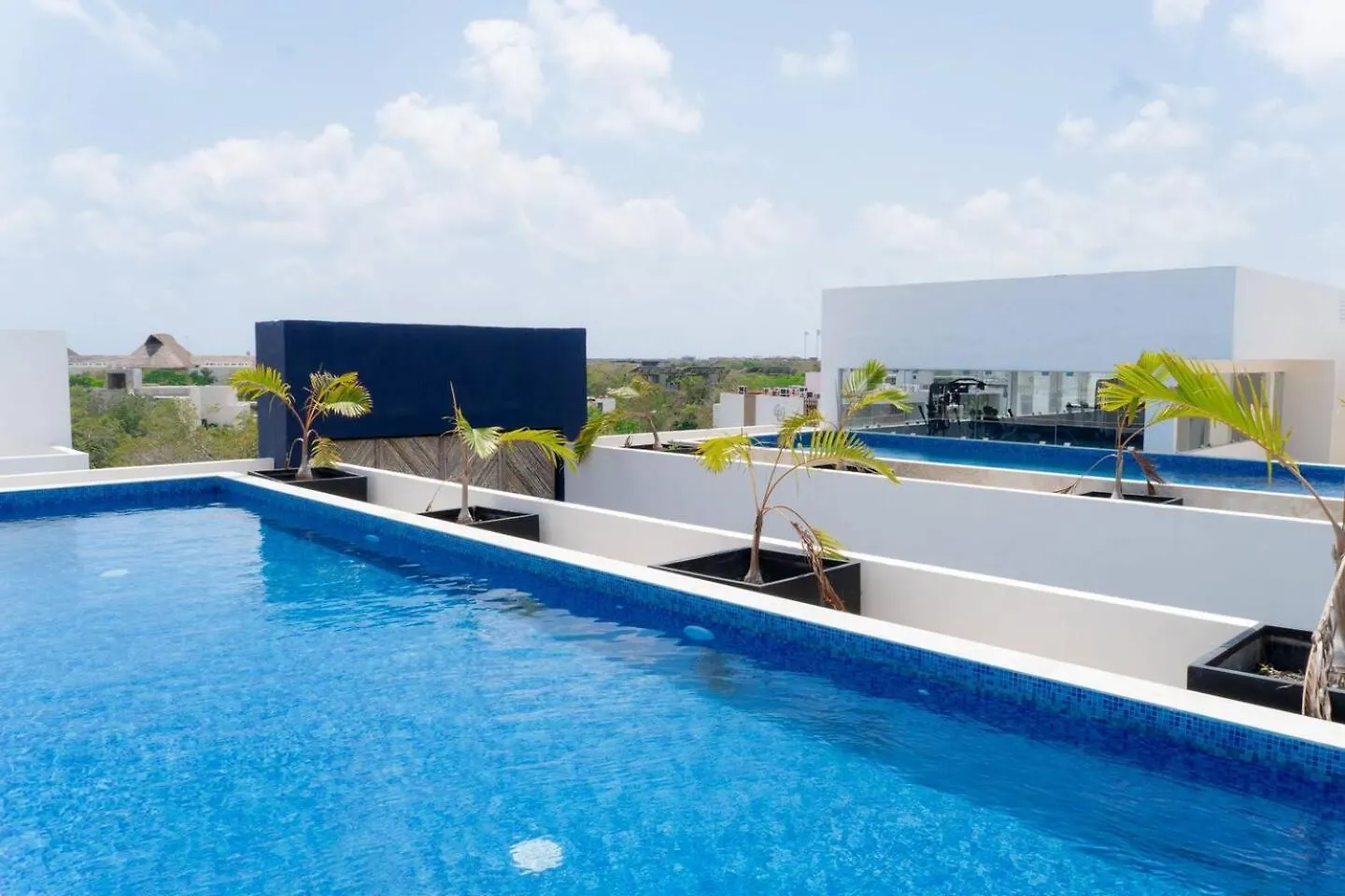 Lux Suite With Private Plunge Pool, Gym Tulum Mexico